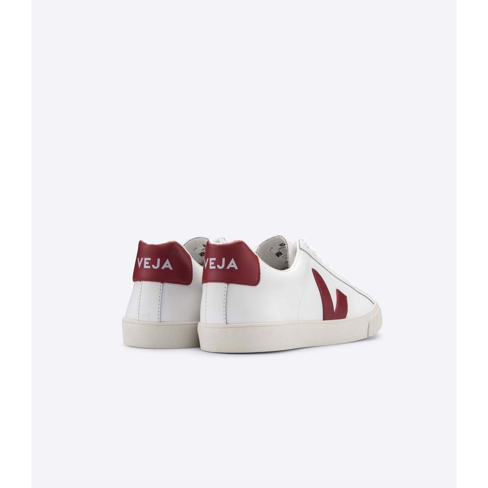 Αθλητικά Παπούτσια ανδρικα Veja ESPLAR LEATHER White/Red | GR 304XYU